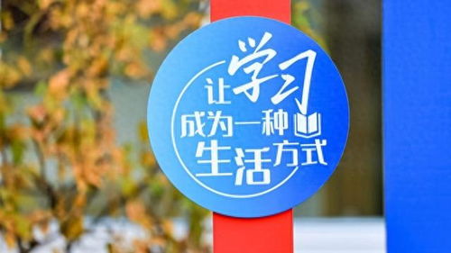 數字文化創意內容應用服務 徐匯打造開放式學習空間，賦能家門口的美好教育